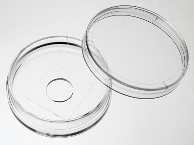 35mm玻璃底细胞培养皿 