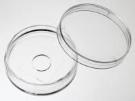 35mm玻璃底细胞培养皿 