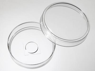 60mm玻璃底培养皿（孔径14）