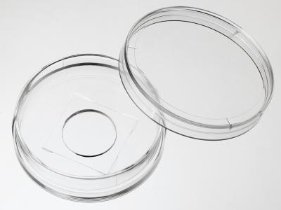35mm高亲和玻底培养皿（孔径14）