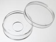 35mm格子玻璃片培养皿
